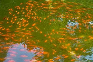 消息称《使命召唤19：现代战争2》即将开启免费体验